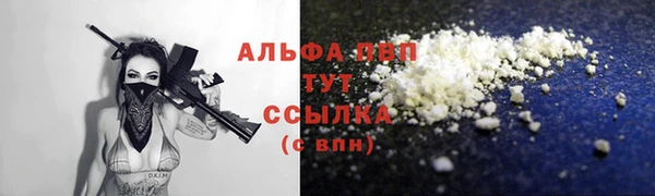 крисы Алзамай