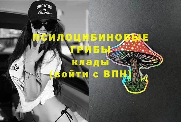 крисы Алзамай