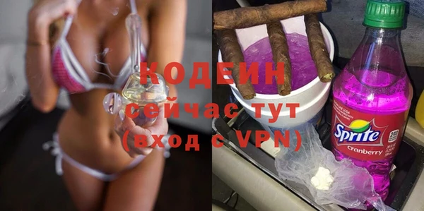 ешки Галич