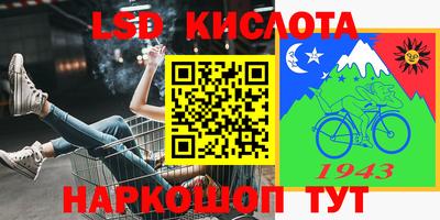 дживик Камышлов