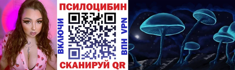 KRAKEN зеркало  Тулун  Псилоцибиновые грибы ЛСД 