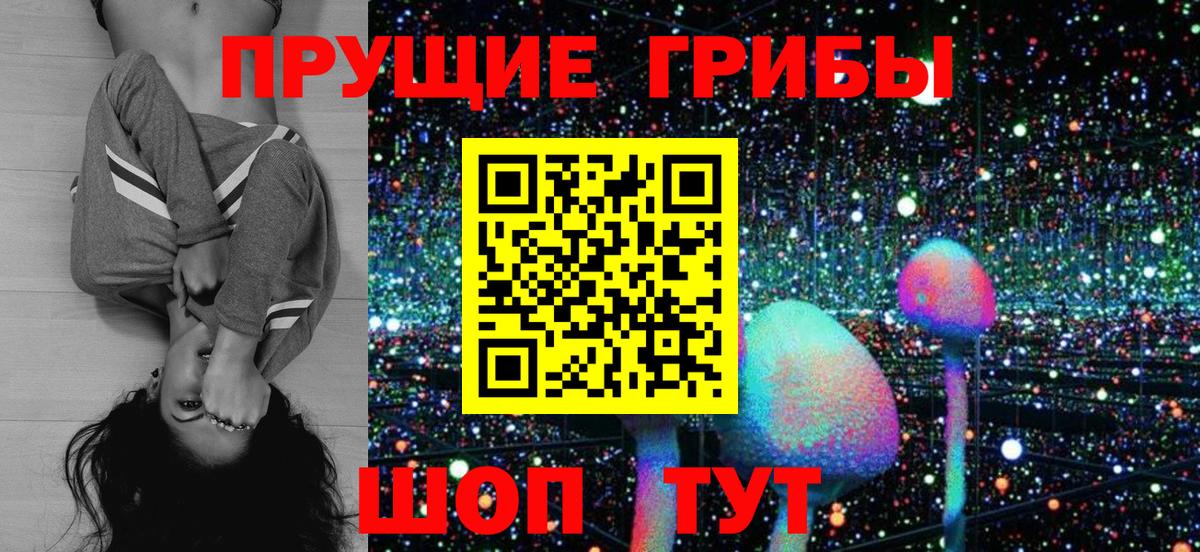 Псилоцибиновые грибы Cubensis Тулун