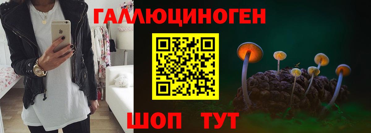 Галлюциногенные грибы Cubensis  Вход с VPN  наркошоп  Тулун 