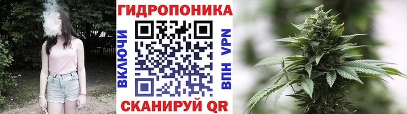 blacksprut маркетплейс Тулун Каннабис THC 21%